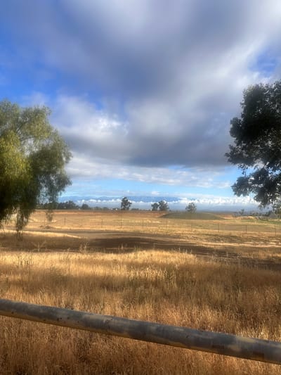 Bearing My Mild Yoke